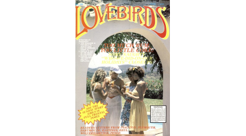 Lovebirds No.104