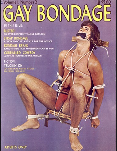Gay Bondage Vol.01 No.02