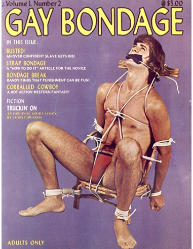 Gay Bondage Vol.01 No.02