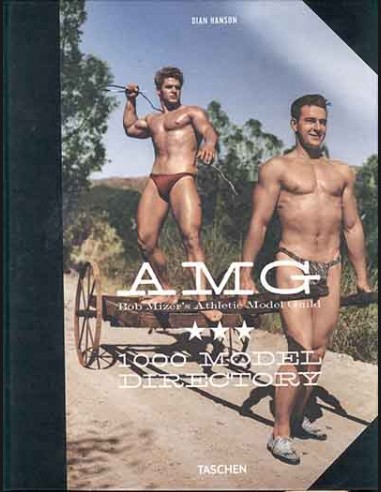 AMG 1000 Model Directory