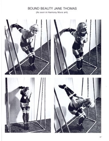 The Bound Beauties Of Harmony Vol.02