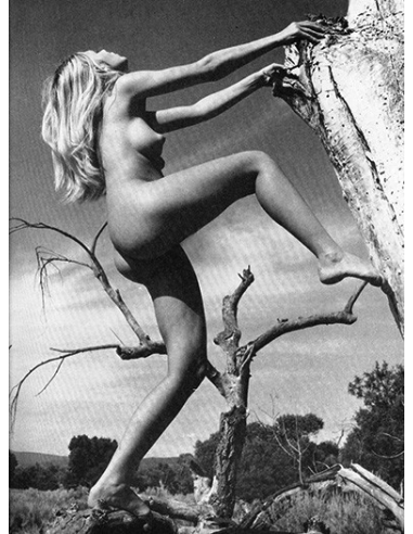 Figure Photography Quarterly  Vol.59 Fall 1969 © RamBooks