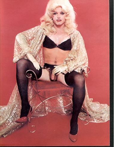 Horny & Hung Vol.01 No.01