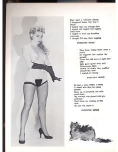 Women of Intrigue Vol.04 No.01 2