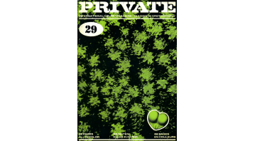 Private 29