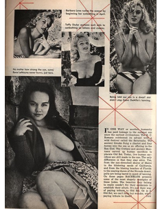 Bachelor Vol.3 No.01 2