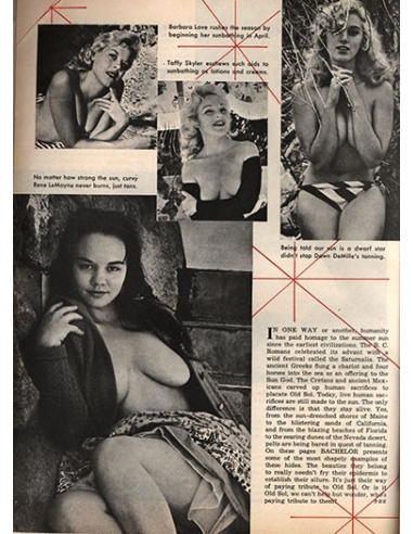 Bachelor Vol.3 No.01