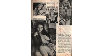 Bachelor Vol.3 No.01