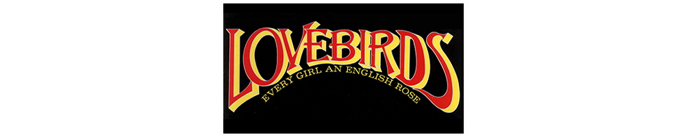 Lovebirds 100+