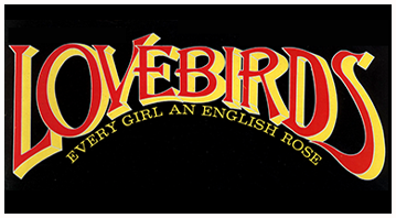 Lovebirds 100+